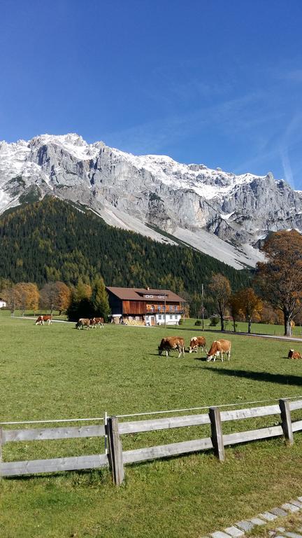 Alpenhaus Birkhahn 호텔 람자우 암 다흐스타인 외부 사진